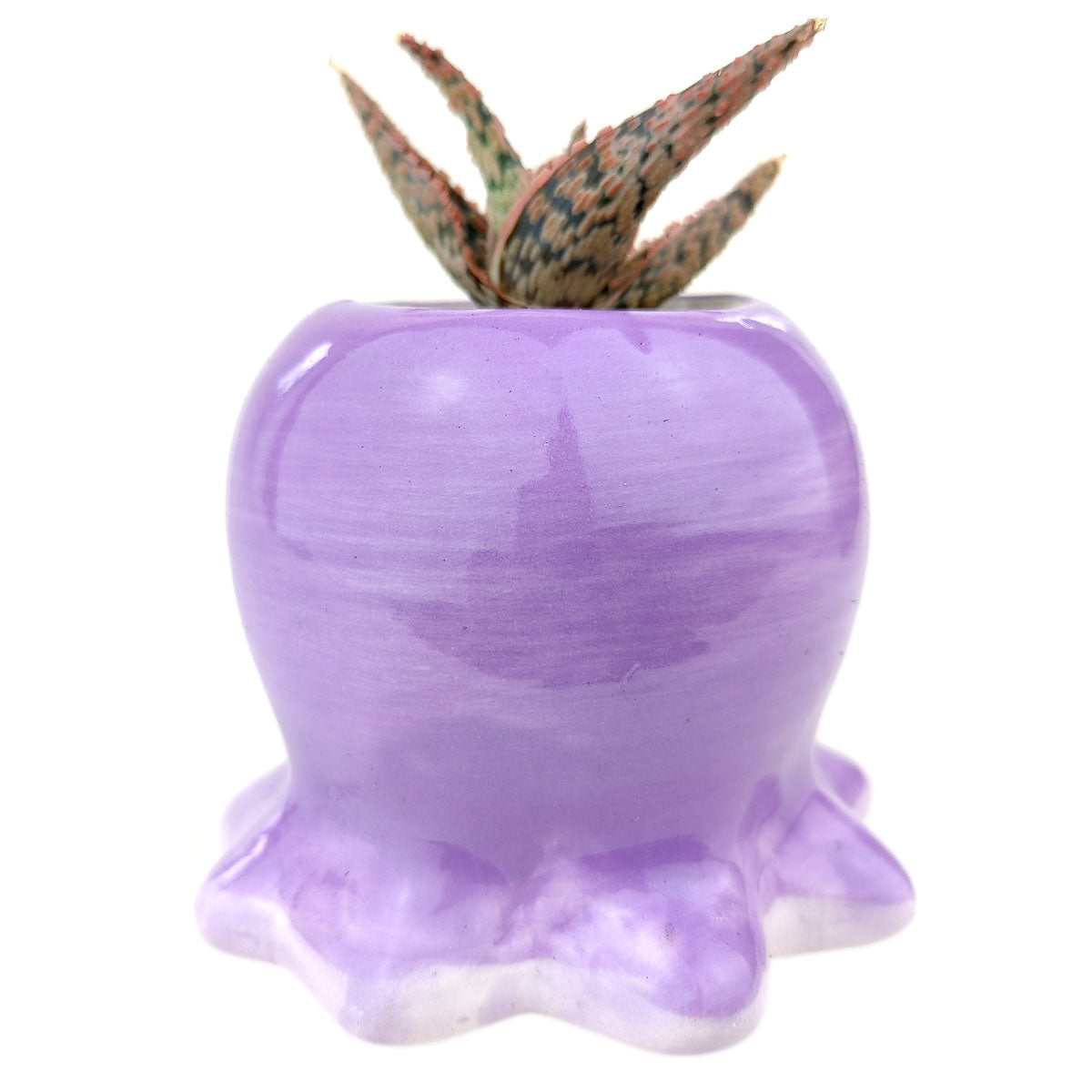 octopus planter pot Octopus Pot | Mini Animal Pot for Succulents, Cacti and Flowers