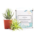 Succulents for Sale, Types of Succulents, Succulents Shop in California, Succulents and Cactus Plants, Cactus Box, Subscription Box with Care Instruction, Succulent Subscription Box