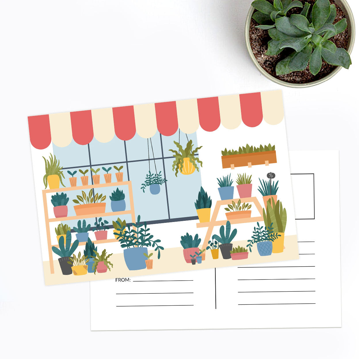 Succulents Greeting Card for sale, Thank you succulents card, Succulents Gift Ideas, Cactus Greeting Card, House plants card, Valentine succulents card, Succulents greeting card for her