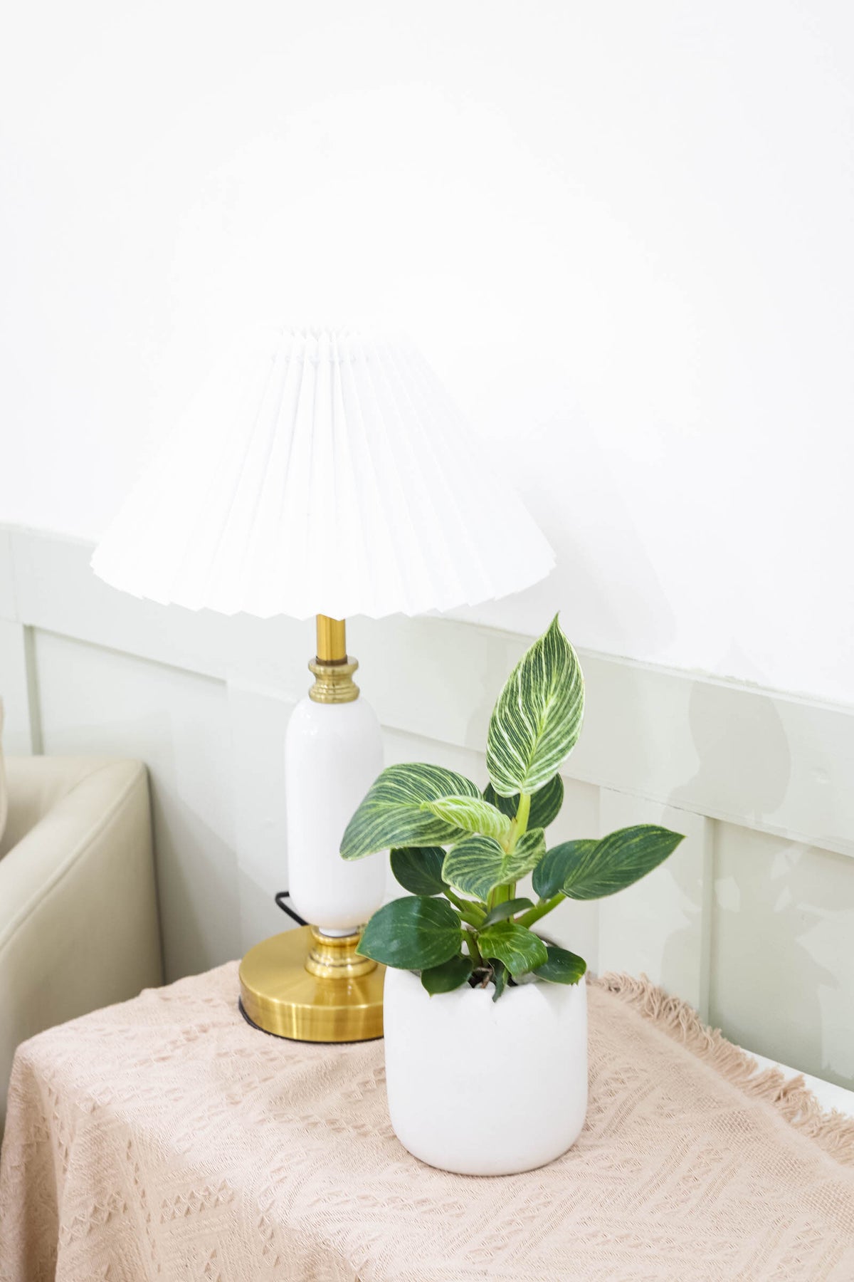 large foliage plants for home and office, Philodendron Birkin, bright and medium light plants