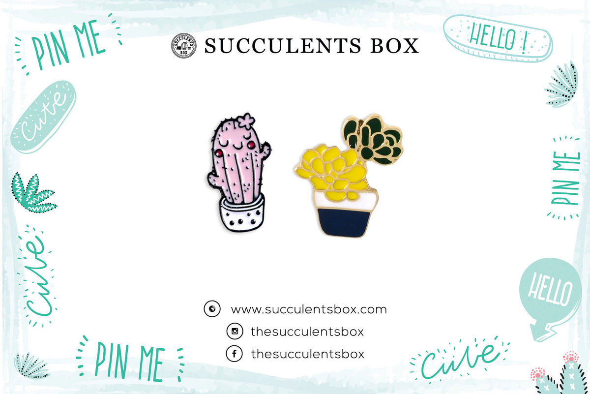 Funny Cartoon Potted Succulents Pin for sale, Cactus in a Pot Pin Badge, Succulent Gift Ideas