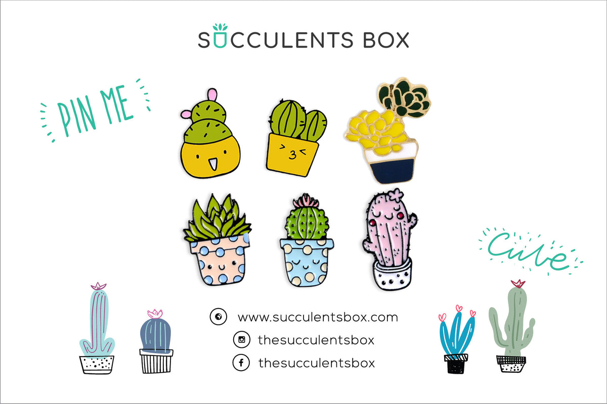 Funny Cartoon Potted Succulents Pin for sale, Cactus in a Pot Pin Badge, Succulent Gift Ideas