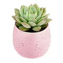Pink Egg Planter