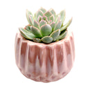 Pink Modern Geometric Planter