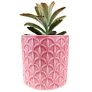 Pink Cathedral Pot