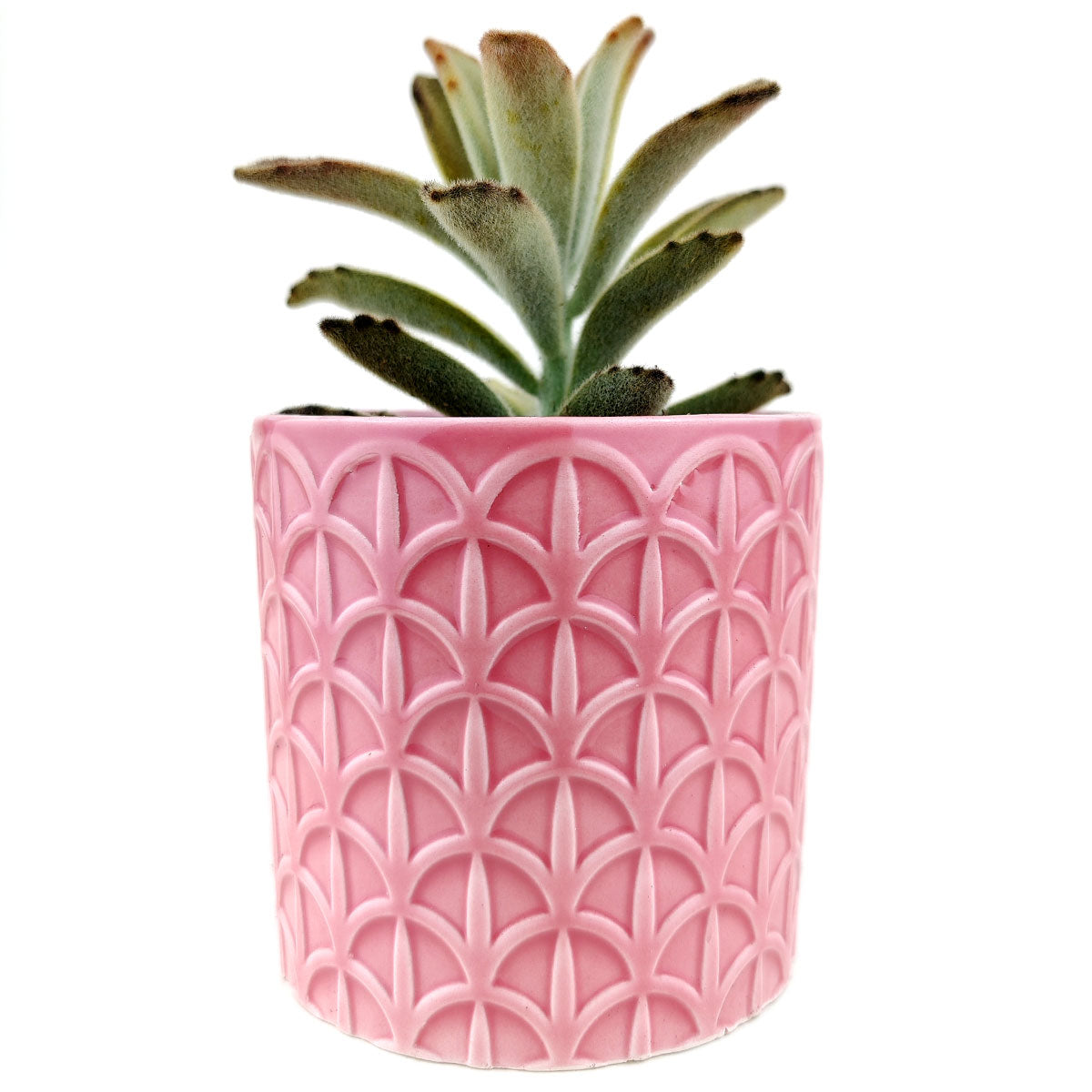 Pink Cathedral Pot for sale, ceramic vase for home decor, ceramic succulent and cactus pots for sale, Succulent gift ideas
