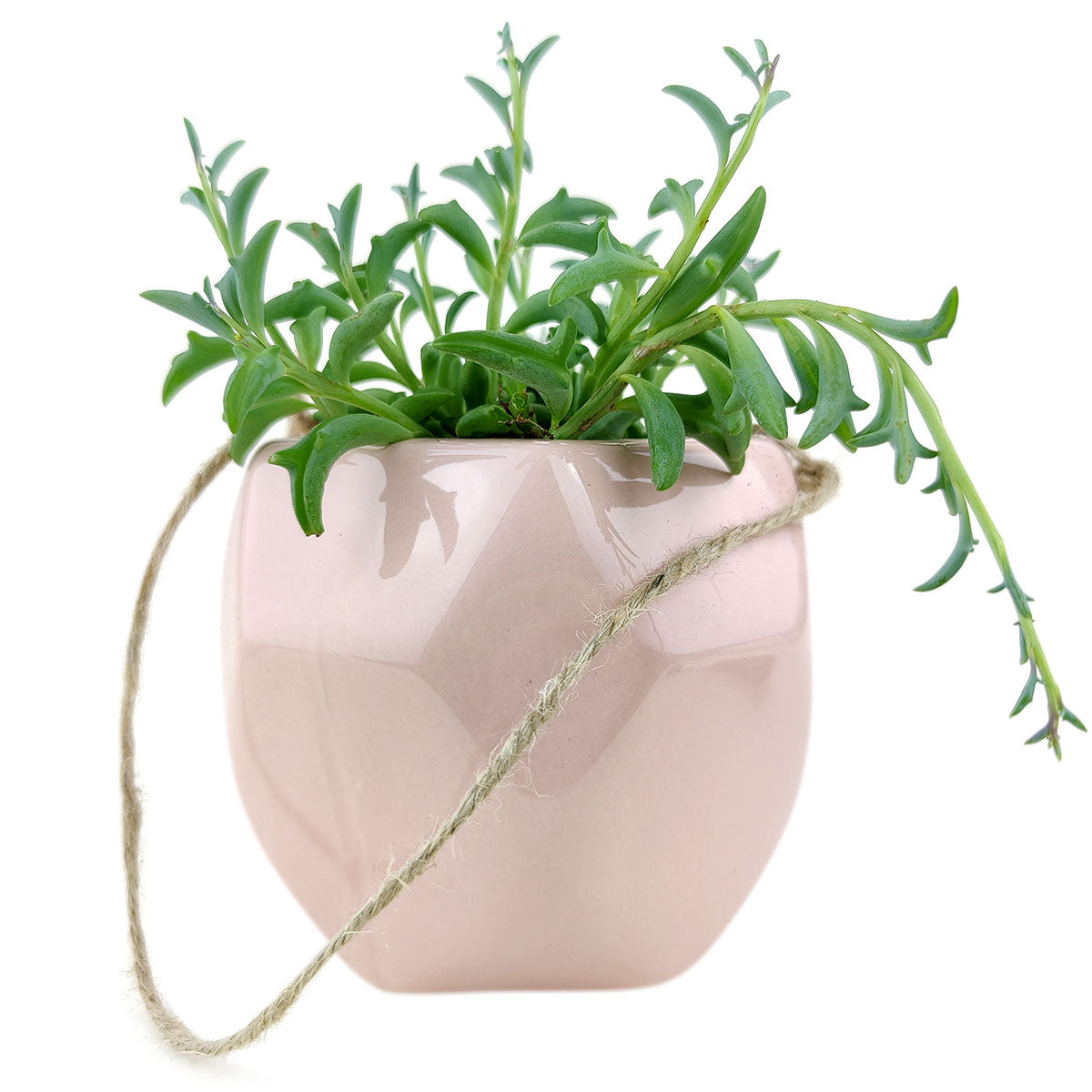 hexagon planter pot Pink Hanging Hexagon Planter