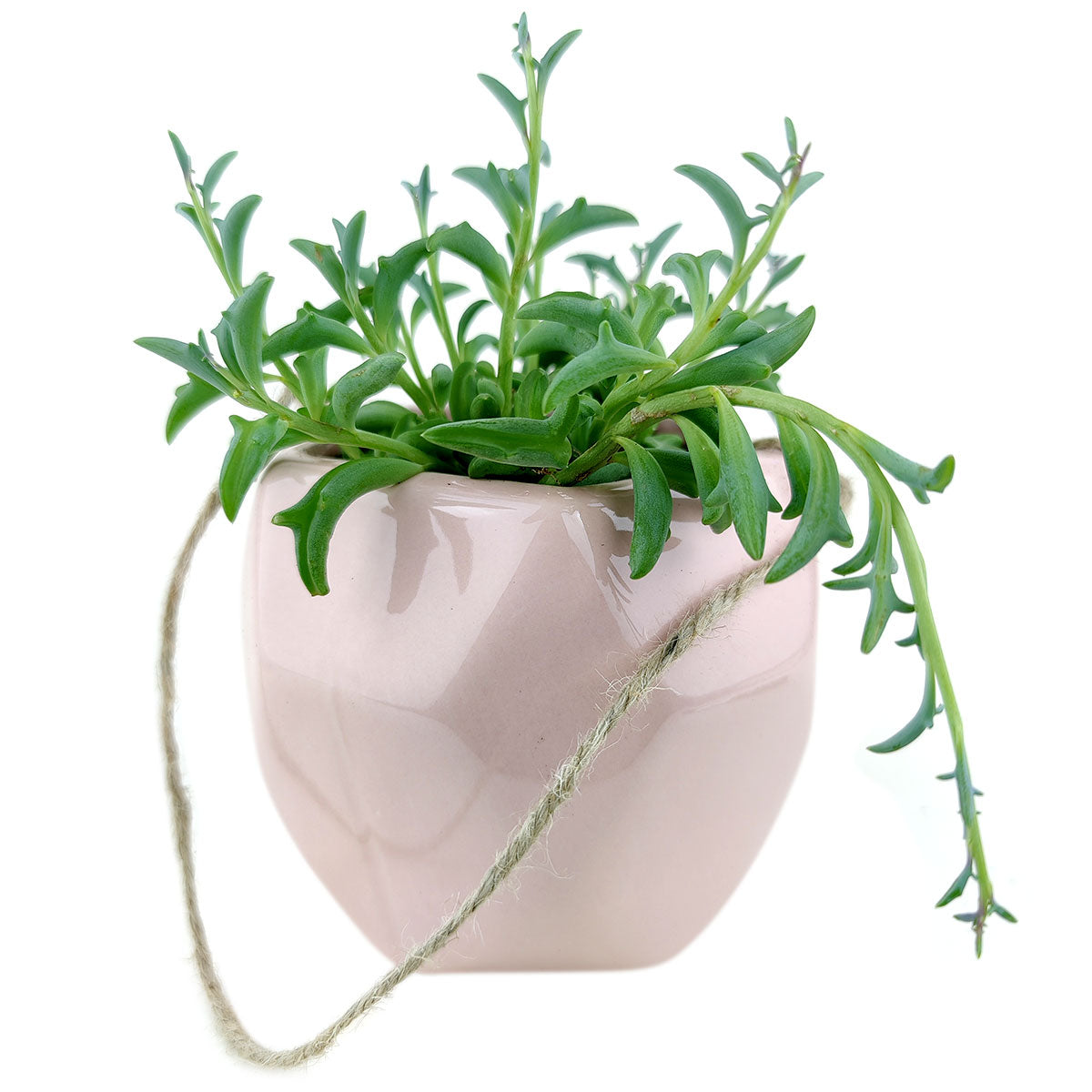 Pink Hanging Hexagon Pot for sale, ceramic vase for home decor, ceramic succulent and cactus pots for sale, Succulent gift ideas