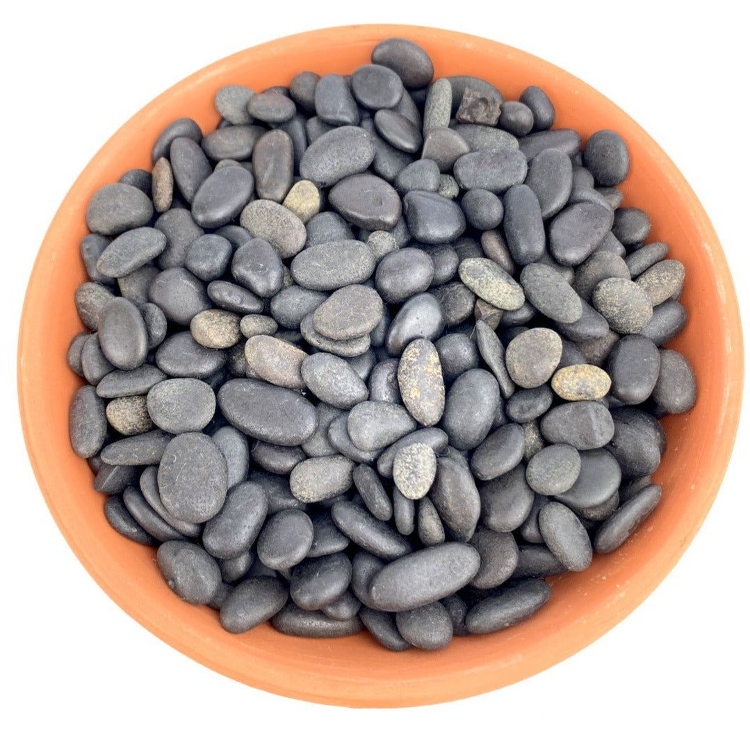 Bean Pebbles Decorative Pebbles for sale, Landscapes DIY Minigarden, Assorted Size Rocks For Landscaping Backyards, Pools, Crafts Or Wedding