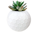 Beehive Planter