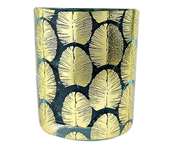 Pot for sale, Mini pot for succulent, Succulent pot decor ideas, Strelitzia Pot, Flower pot for sale, glass pots for planting, succulent gift for holiday