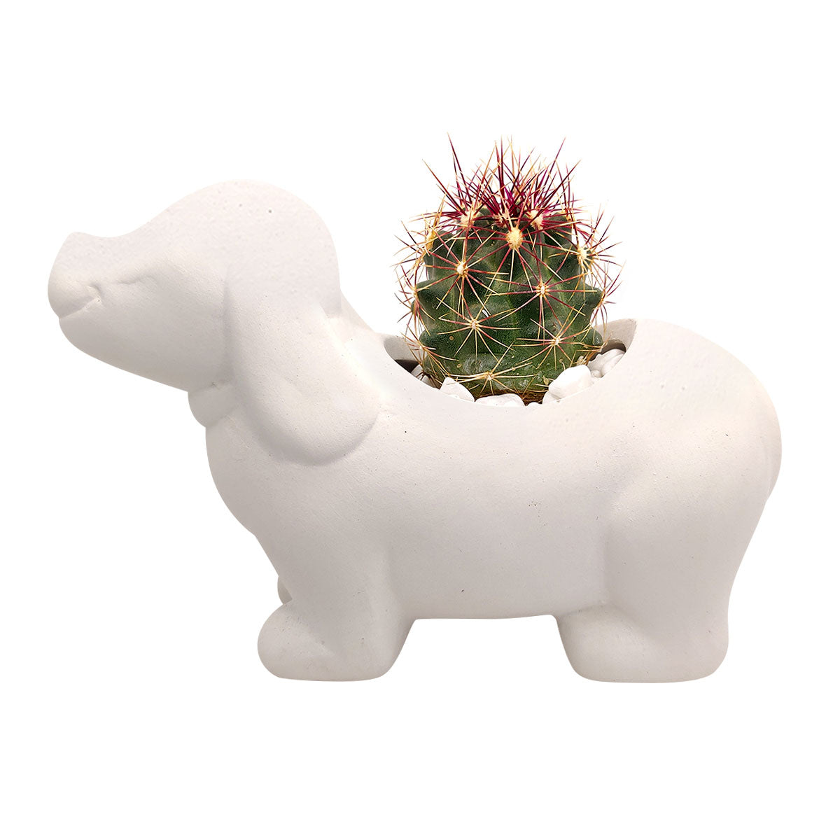 DIY Ceramic Puppy Pot for sale, Cute White Ceramic Succulent Pot, Little Dog Planter Decor, Craft Supplies, DIY Succulent Gift Ideas, Dog Shaped Succulent Pot