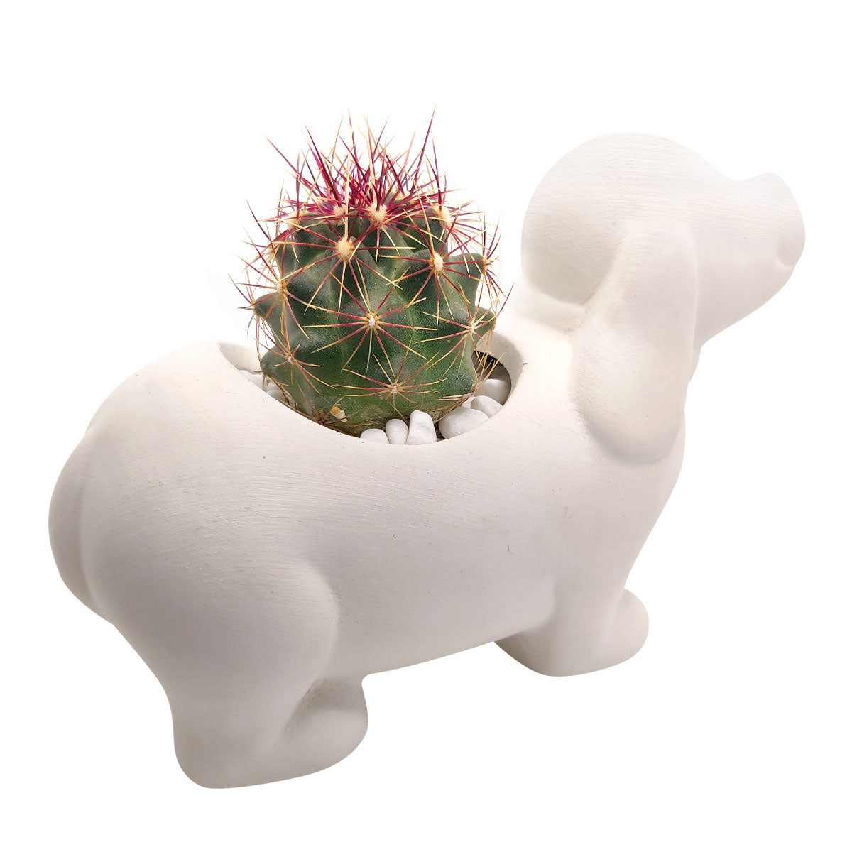 DIY Ceramic Puppy Pot for sale, Cute White Ceramic Succulent Pot, Little Dog Planter Decor, Craft Supplies, DIY Succulent Gift Ideas, Dog Shaped Succulent Pot