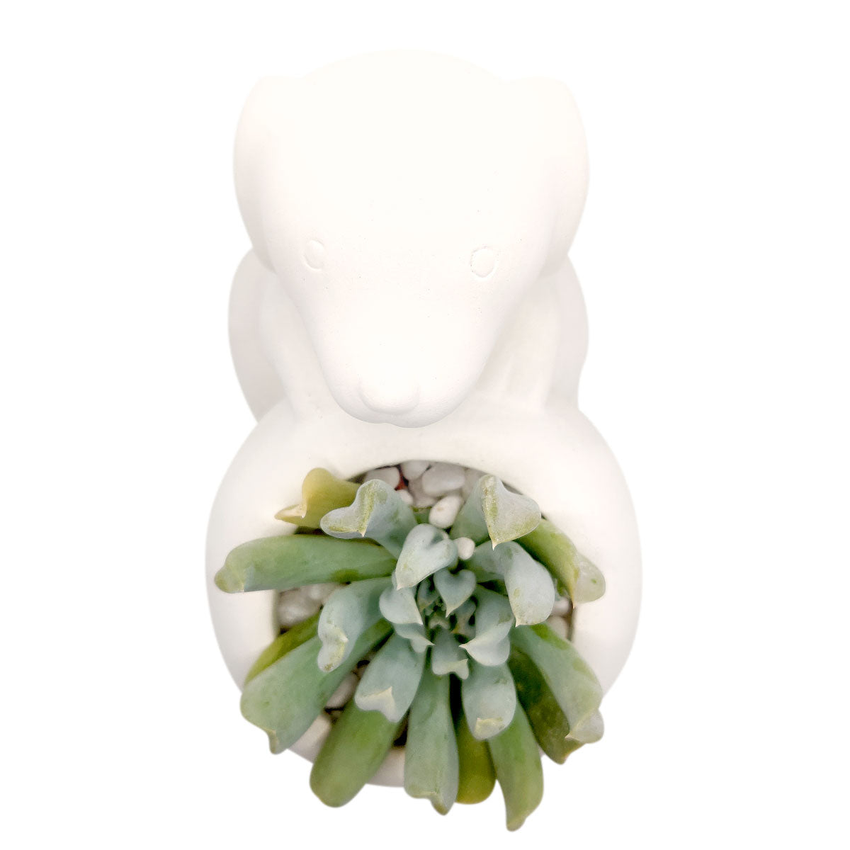 DIY White Ceramic Puppy Succulent Pot for sale, Little Dog Succulent Planter, Dog Shaped Plant Decor, Unique Succulent Gift Ideas, Cute Animal Succulent Pot