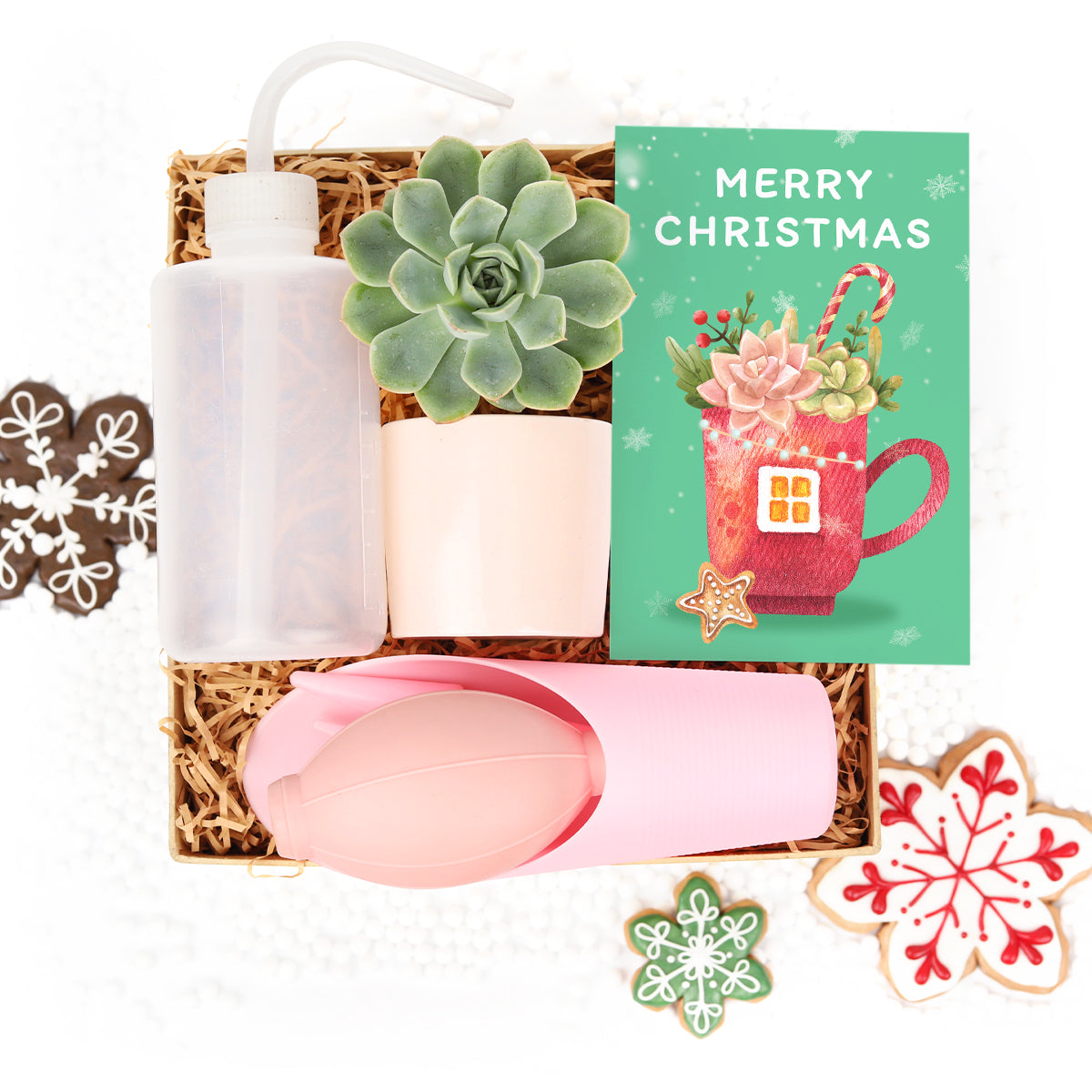 gift box, gift box ideas, large gift box, christmas gift box, surprise box gift, best friend gift box ideas, gift box for women, succulent gift box, gift box delivery, christmas gift box ideas