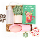 How to use gardening tool kit for growing succulent plants