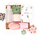 succulent valentine gift, personalized valentine gift, valentine gift near me, valentine gift online, succulents for valentine&#39;s day, valentine&#39;s day succulent gifts, valentine plant ideas 2025