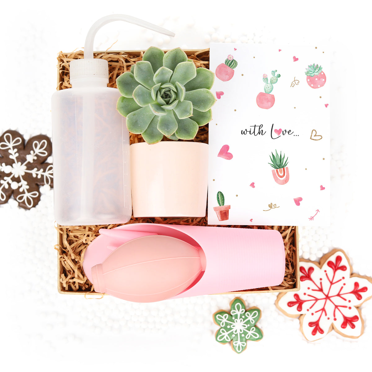 gift box near me, best friend gift box, holiday gift box, personalized gift box, gift box for mom, wholesale custom gift box, plants gift box