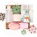 How to use gardening tool kit for growing succulent plants