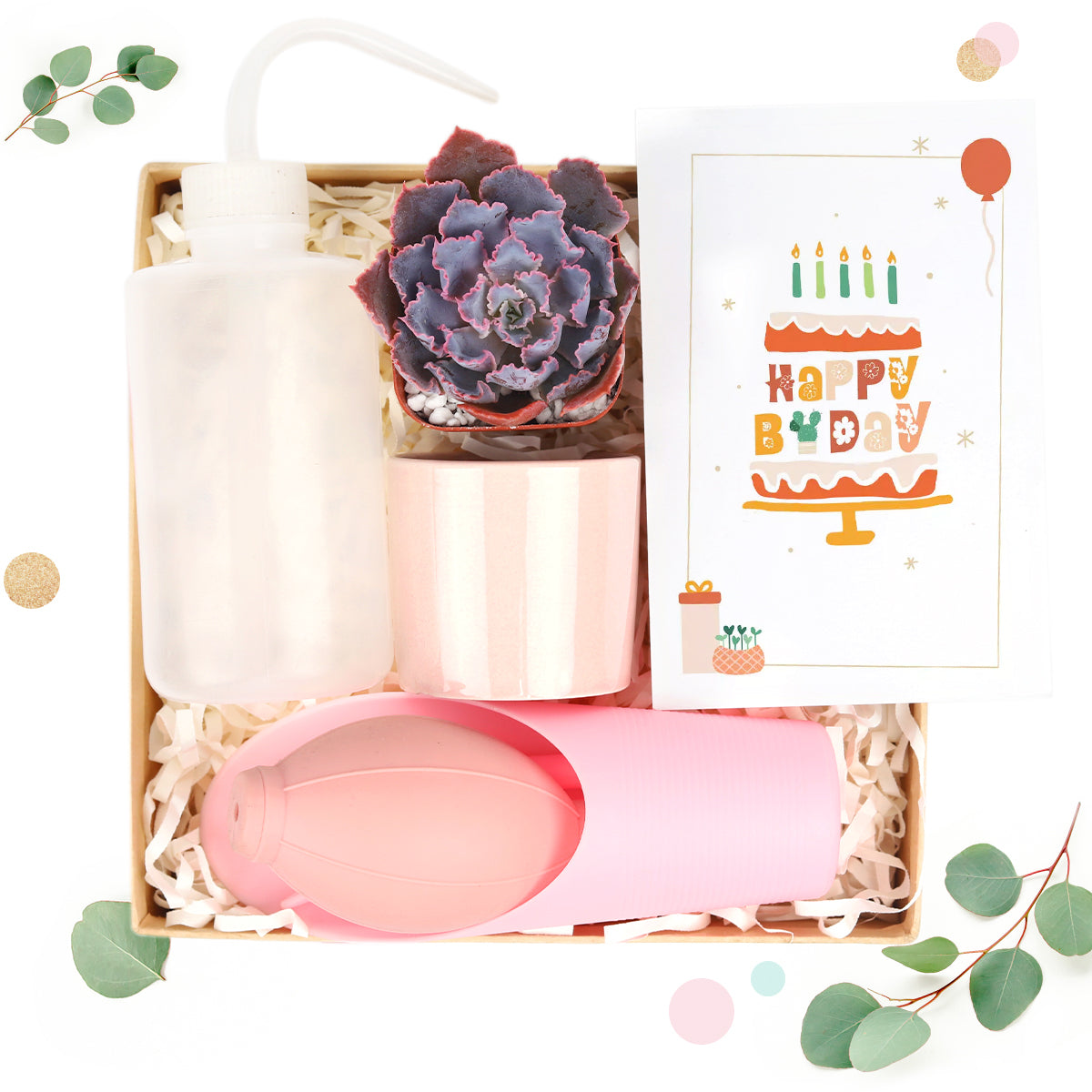Beginner Kit Gift Box for sale, Succulent Starter Kit, Succulent Kit for Beginner, Best Succulent Gift for Beginner, Succulent Beginner Kit, EcoFriendly Succulent Gift Box for Employee, Corporate Gift Succulents For Sale Online, birthday gift ideas 2025