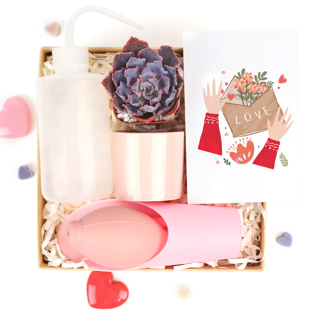 succulent valentine gift, personalized valentine gift, valentine gift near me, valentine gift online, succulents for valentine&#39;s day, valentine&#39;s day succulent gifts, valentine plant ideas 2025