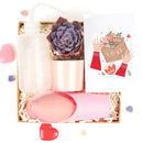 succulent valentine gift, personalized valentine gift, valentine gift near me, valentine gift online, succulents for valentine&#39;s day, valentine&#39;s day succulent gifts, valentine plant ideas 2025