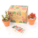 Succulents for Sale, Types of Succulents, Succulents Shop in California, Succulents and Cactus Plants, Cactus Box, Subscription Box with Care Instruction, Succulent Subscription Box