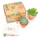 Succulent Subcription Boxes, Succulent Subscription Boxes, Succulents Box Monthly, Succulents for Sale, Succulents Box with Care Guide, Cactus Boxes, Succulent Plant
