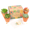 Succulents for Sale, Types of Succulents, Succulents Shop in California, Succulents and Cactus Plants, Cactus Box, Subscription Box with Care Instruction, Succulent Subscription Box