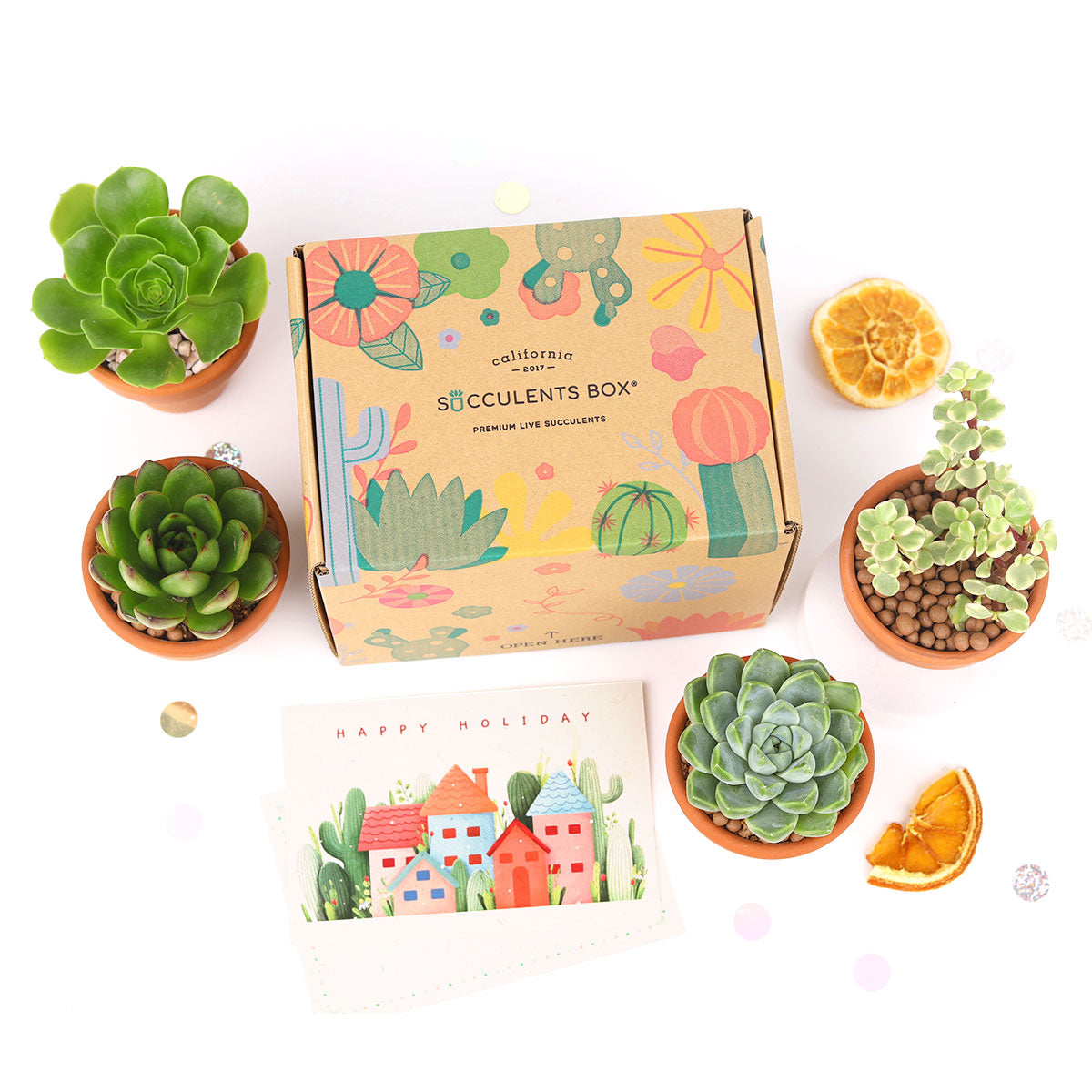 Succulent Gift Boxes, Succulent Subcription Boxes for sale, Succulents for Sale, Types of Succulents, Succulents Shop in California, Succulents and Cactus Plants, Cactus Box, Subscription Box with Care Instruction, Succulent Subscription Gift Box Monthly