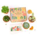 Succulents for Sale, Types of Succulents, Succulents Shop in California, Succulents and Cactus Plants, Cactus Box, Subscription Box with Care Instruction, Succulent Subscription Box