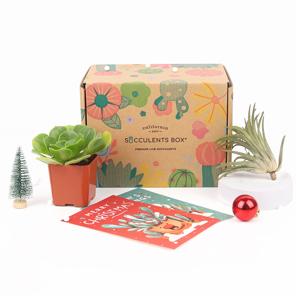 Succulent subscription box delivered monthly, Succulent subscription gift for sale, airplants subscription box monthly