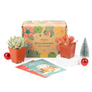 Subscription Box with Care Instruction, Succulent Subscription Box, Succulents for Sale, Types of Succulents, Succulents Shop in California, Succulents and Cactus Plants, Cactus Box, Succulent Gift Box