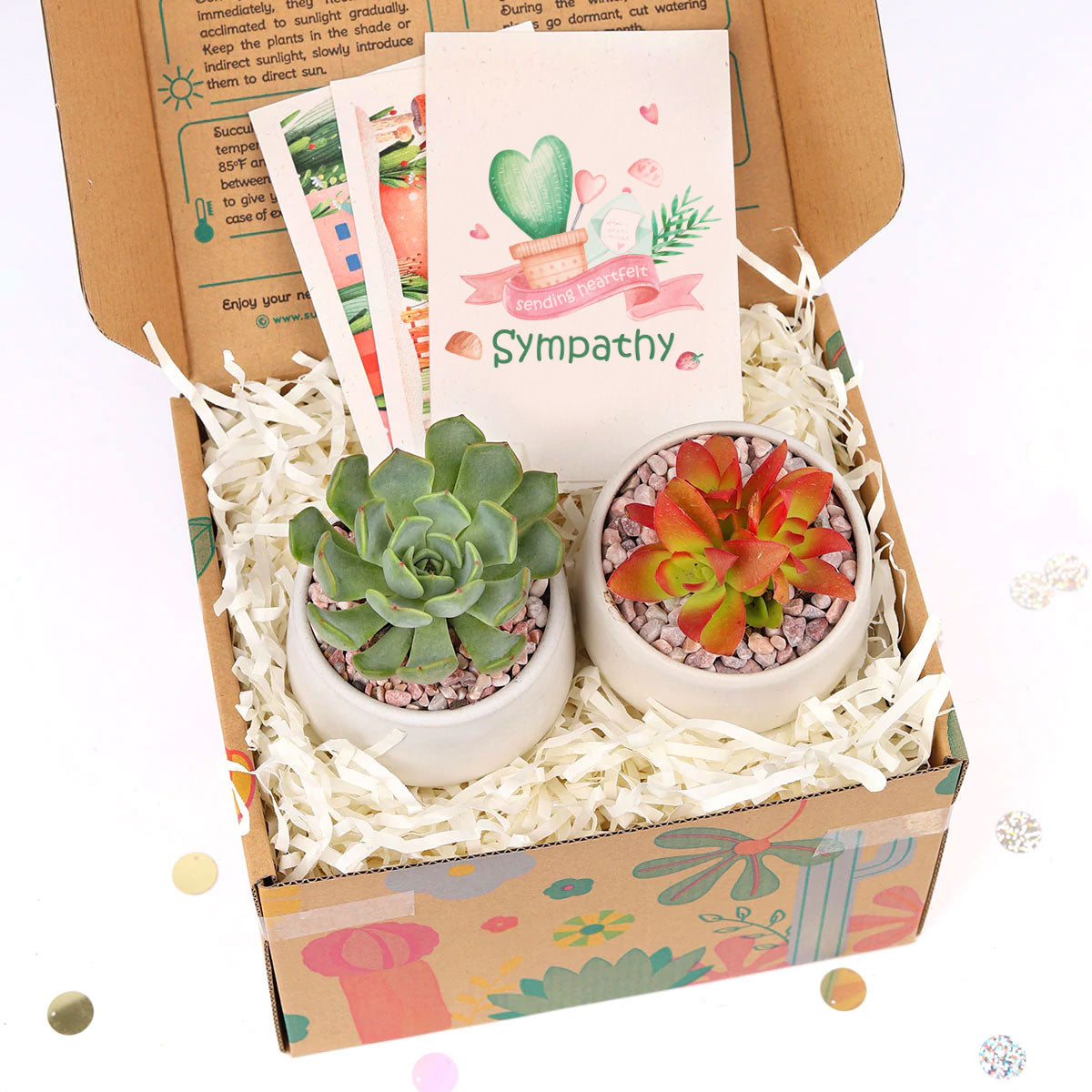 Succulent Thank You Gift Ideas, Thank you gift for your staff in 2025, Customizable Gift Boxes for employees and clients, Succulent Plants for Clients &amp; Employees for sale, Corporate Gift Succulents For Sale Online