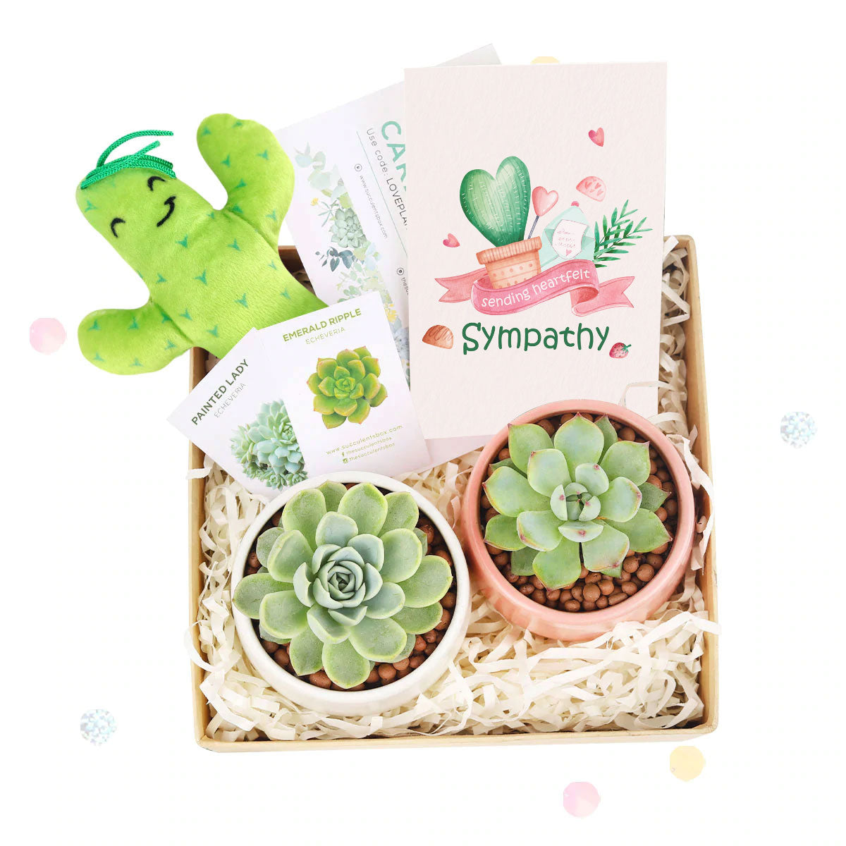 Thank you gift for your staff in 2023, Customizable Gift Boxes for employees and clients, Office gift for employees, EcoFriendly Succulent Gift Box for Employee, Corporate Gift Succulents For Sale Online, Employee appreciation day 2023 ideas
