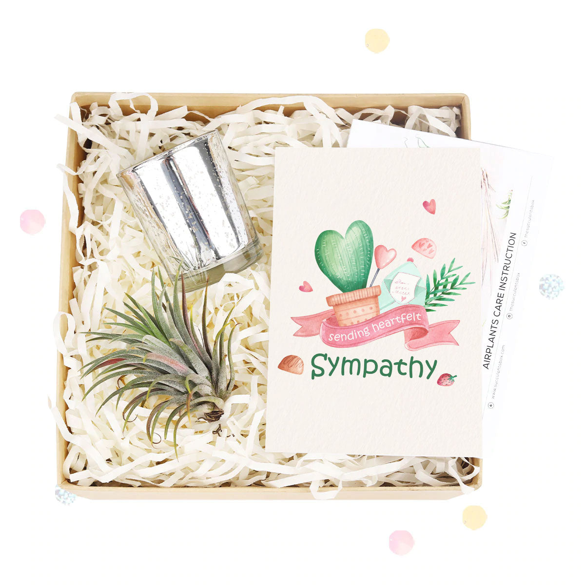 EcoFriendly Succulent Gift Box for Employee, Succulents and cactus make awesome wedding favors, Succulent gifts are a great choice for any wedding, DIY wedding succulent centerpieces 2025