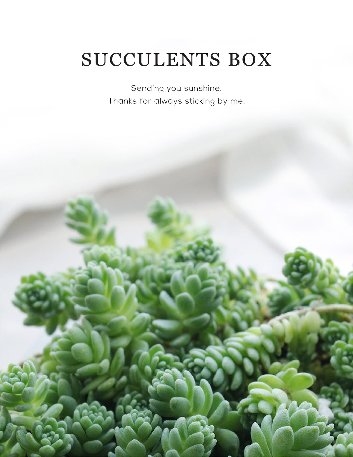 Greeting Card for sale