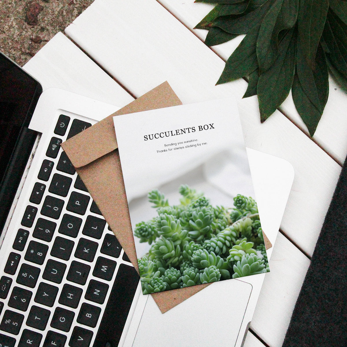 Succulents Card for sale