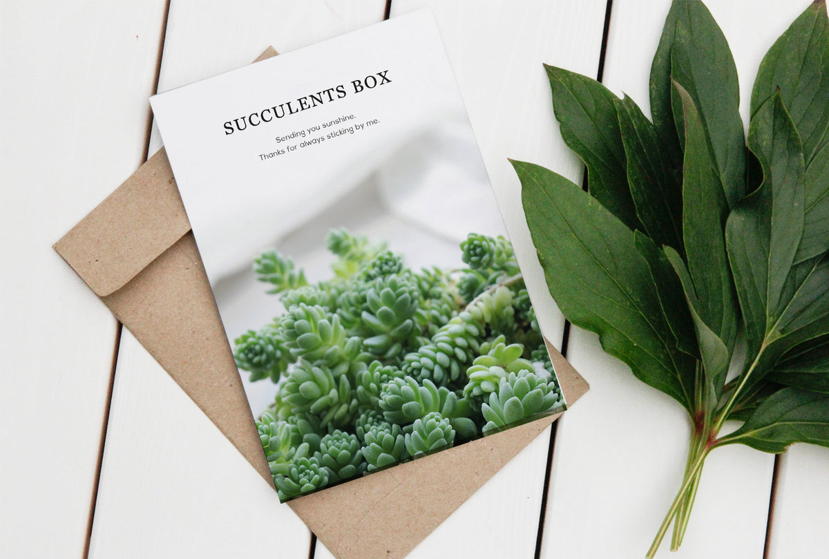 Holiday Card for sale