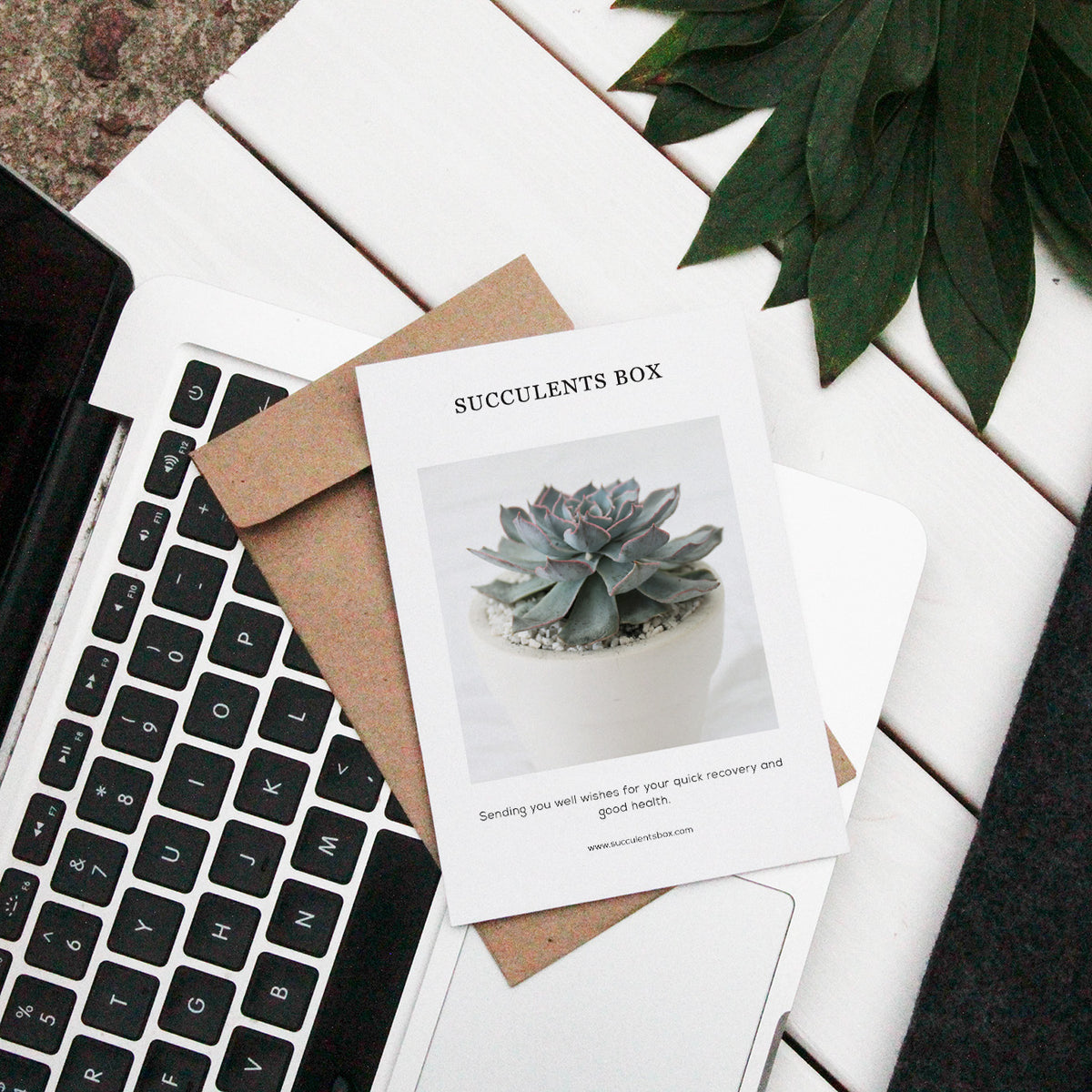 Succulents Card for sale