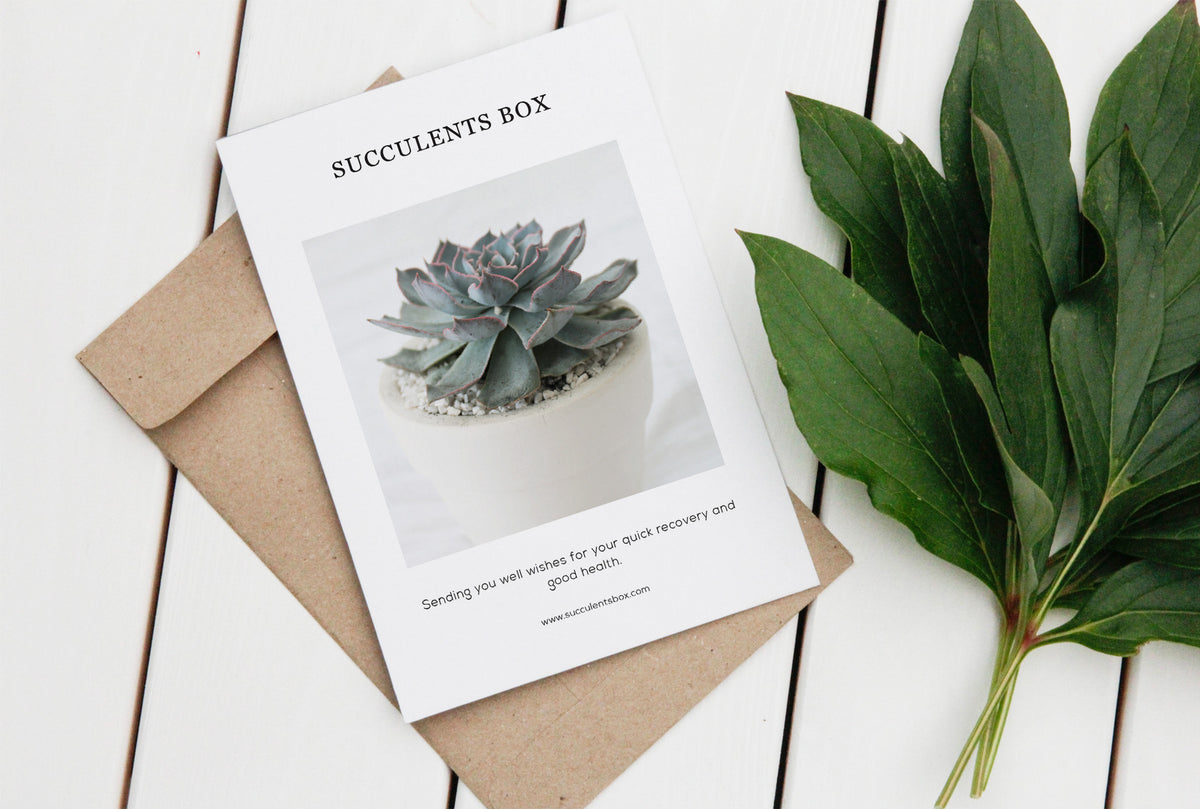 Holiday Card for sale