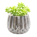 Pot for sale, Mini pot for succulent, Succulent pot decor ideas, Silver Modern Geometric Pot pot, Flower pot for sale, glass pots for planting, succulent gift for holiday