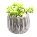 Pot for sale, Mini pot for succulent, Succulent pot decor ideas, Silver Modern Geometric Pot pot, Flower pot for sale, glass pots for planting, succulent gift for holiday