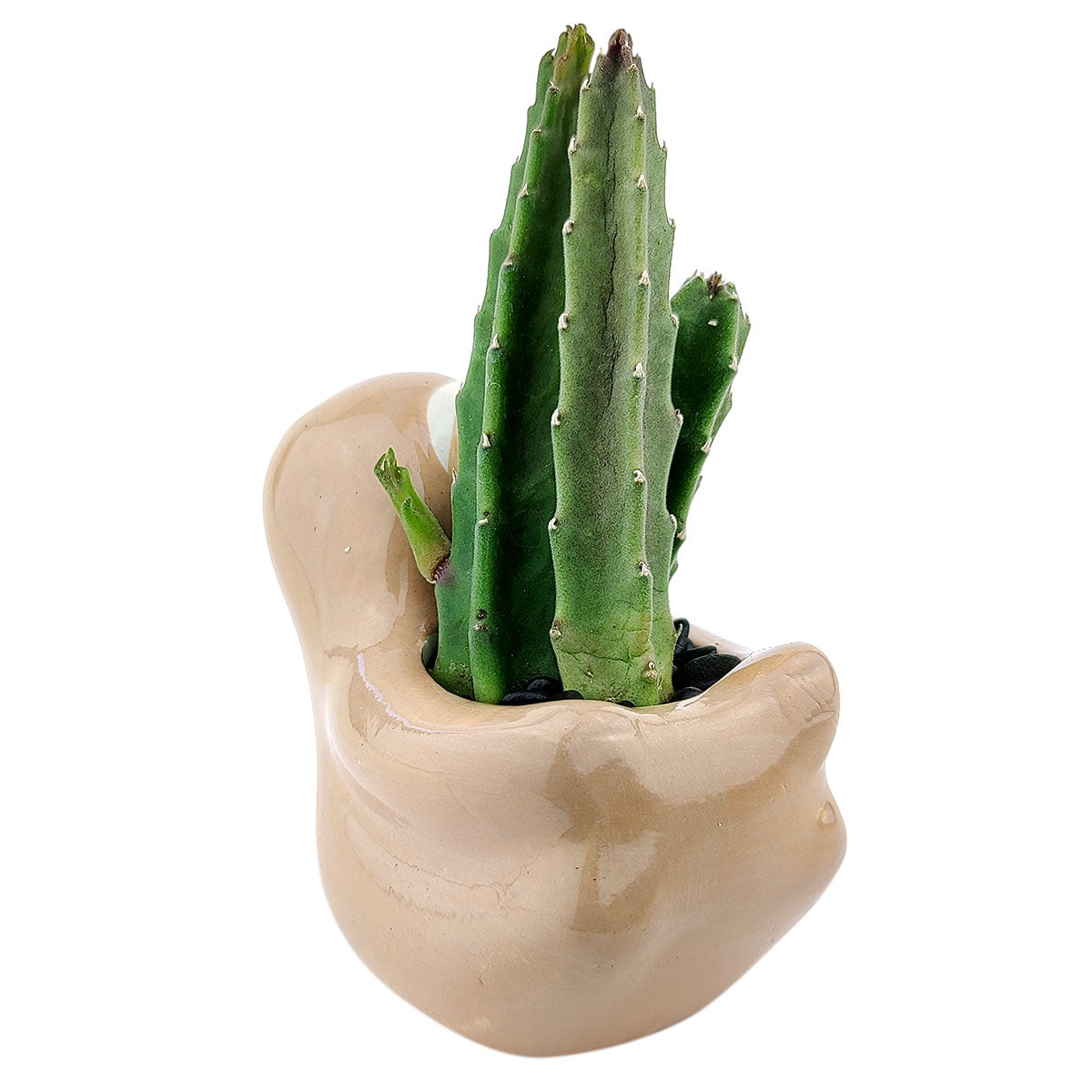 Sloth Pot for sale, Cute Ceramic Succulent Pot, Sloth Planter Decor, Craft Supplies, Succulent Gift Ideas, Sloth Succulent Pot