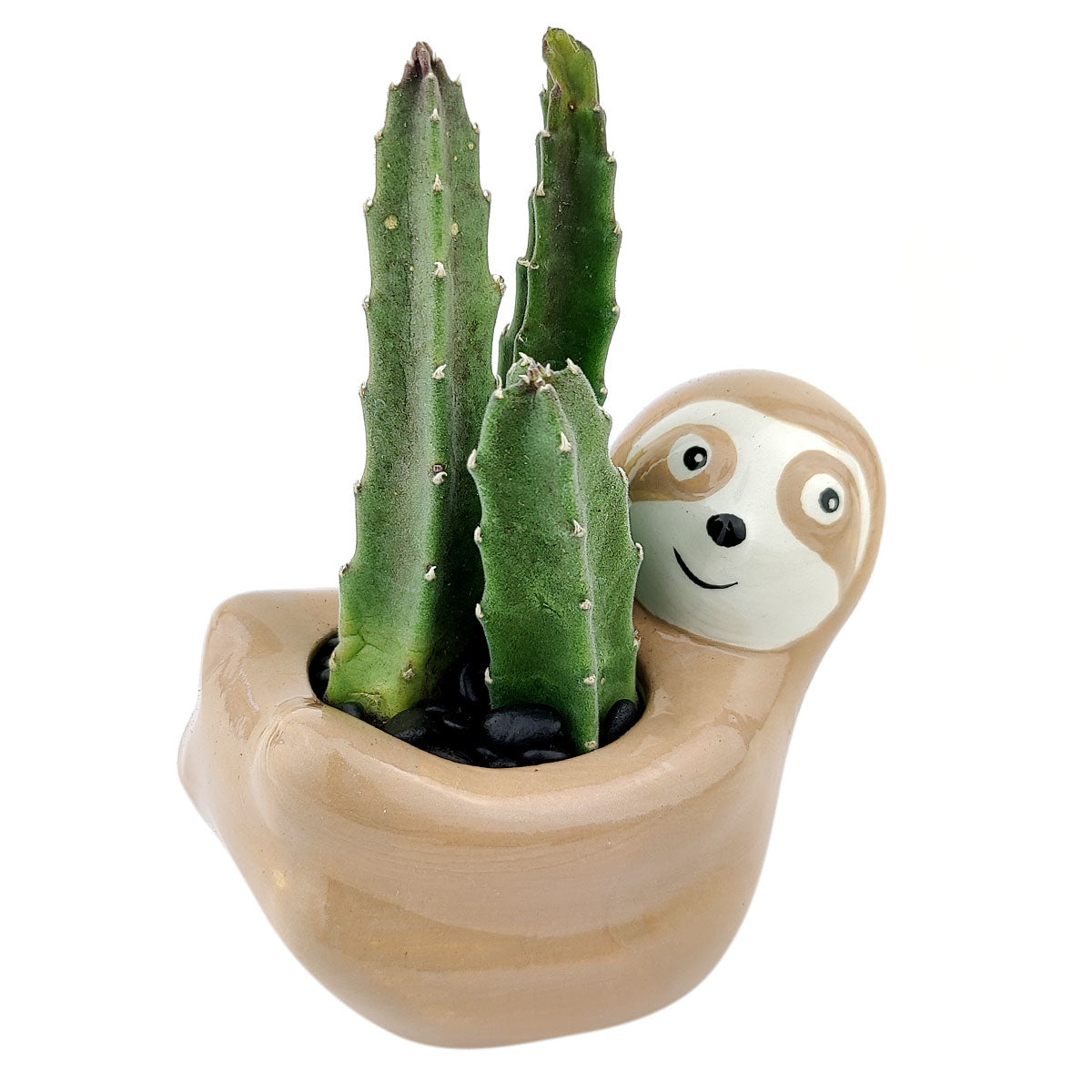 Sloth Pot for sale, Cute Ceramic Succulent Pot, Sloth Planter Decor, Craft Supplies, Succulent Gift Ideas, Sloth Succulent Pot