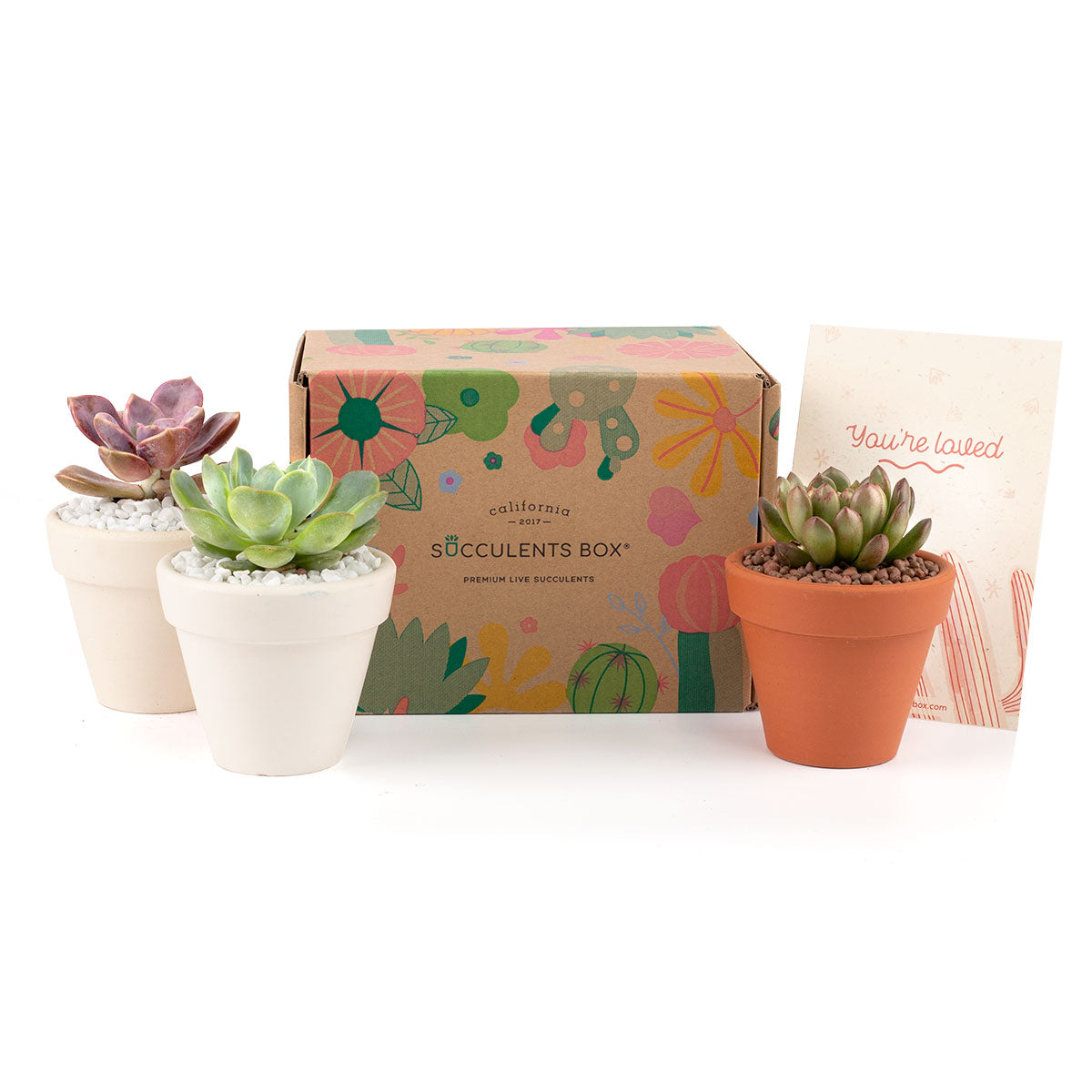 Subscription Box with Care Instruction, Succulent Subscription Box, Succulents for Sale, Types of Succulents, Succulents Shop in California, Succulents and Cactus Plants, Succulent Gift Box Monthly