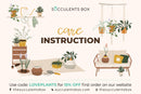 Succulent care card for sale, Succulents care guide, Succulents care instruction, How to care for succulent plants