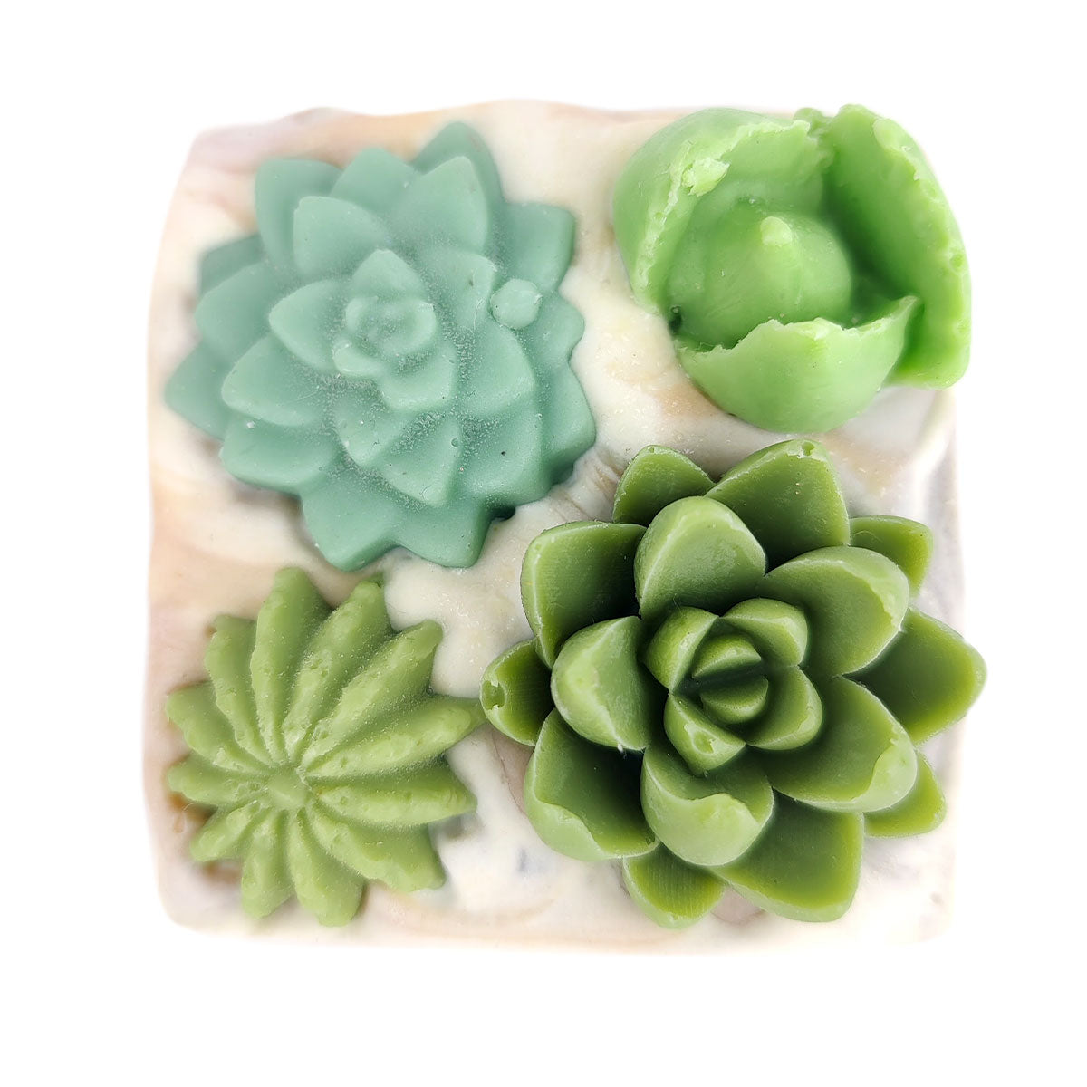 Succulent Garden Soap