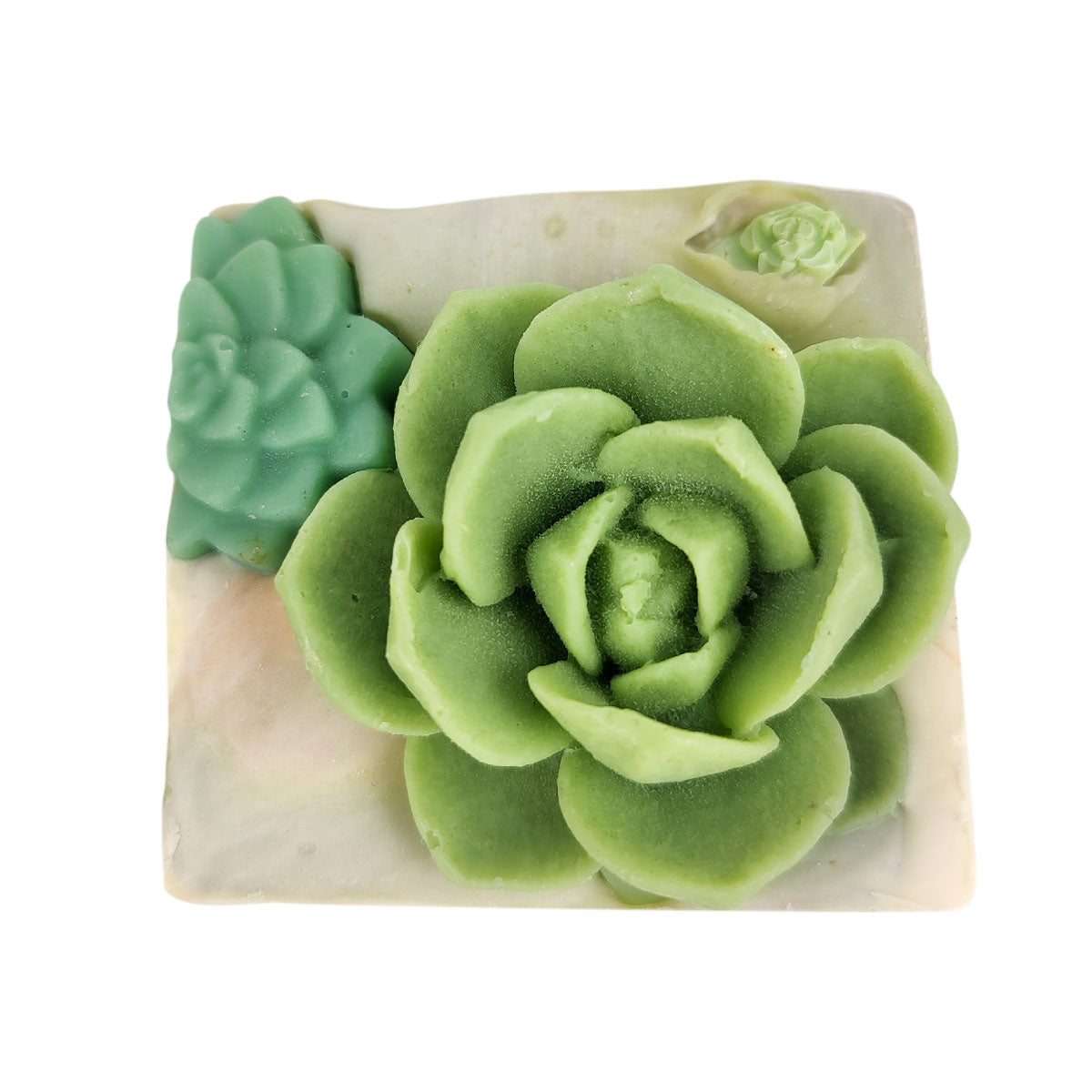 Succulent soap, succulent garden soap, succulent arrangement soap, random succulent arrangement soap, natural soap, botanical soap, handmade succulent soap, organic succulent soap