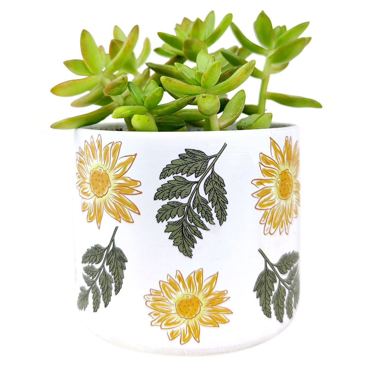 Sunflower Pot for sale, Ceramic Pot for succulents and flowers, Modern style flower pot for sale, Succulent gift decor ideas